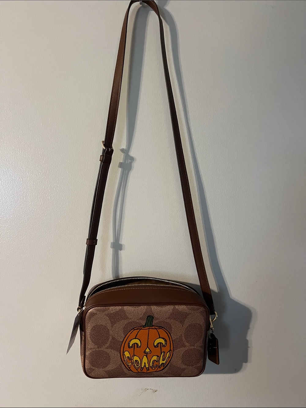 Coach Brown Signature Canvas Crossbody with Pumpkin Patch Graphic